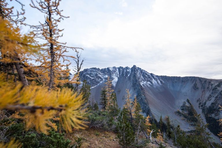 Unleashing Adventure: Budget-Friendly Outdoor Travel Tips